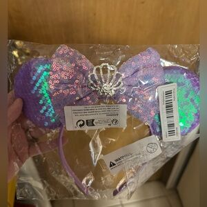 Disney Inspired Ears Princess